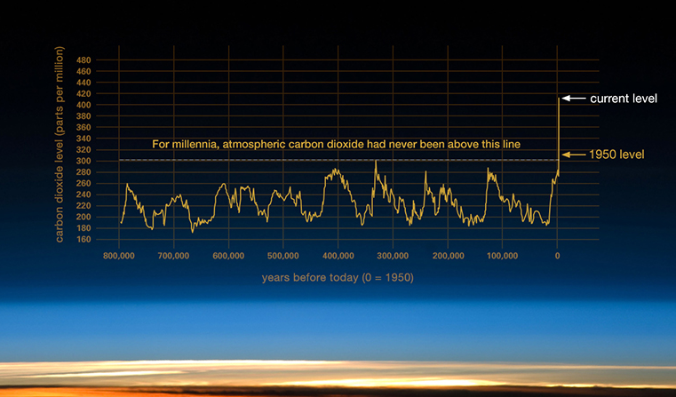 Carbon Graph